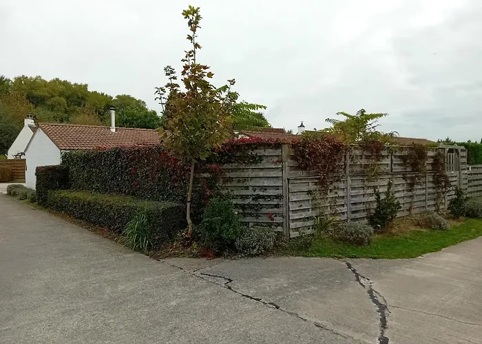 Mi Corazon Huisnummer 122 De Panne